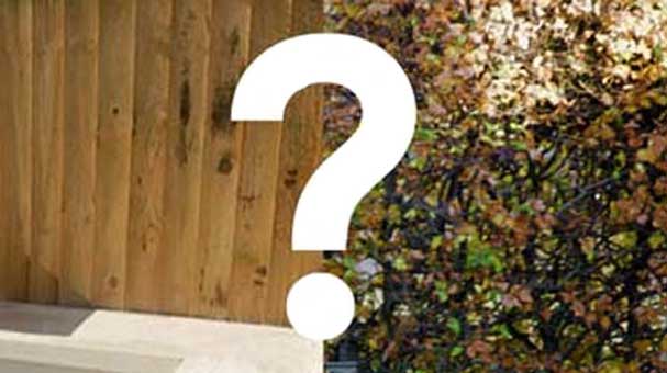 Fence or Hedge Your Garden – Which is Best?