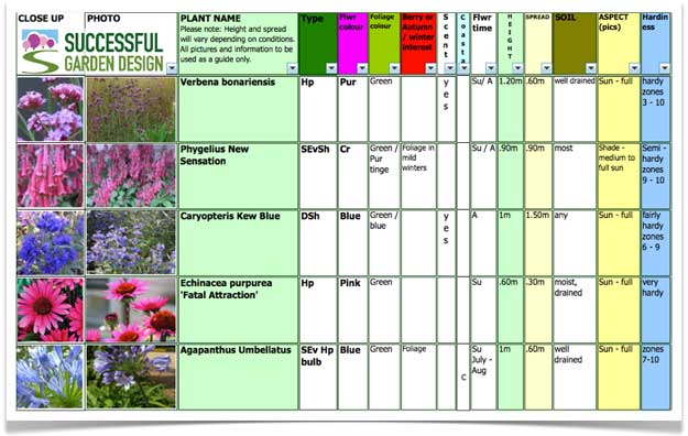 Garden Plant Selection – September Stunners