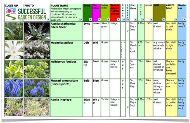 Plant Selection – Marvellous in March