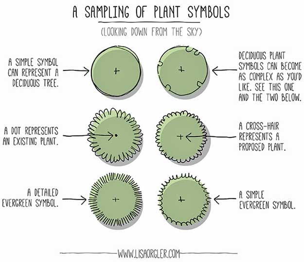 Plant Symbols Successful Garden Design, Landscape Design Symbols