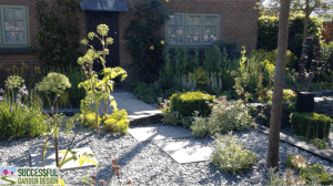 Chelsea Sean Murrays Garden Challenge Garden