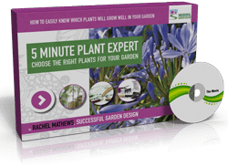 The 5 Minute Plant Expert – Mini-Course