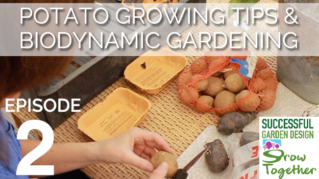 GT2 – Potato Growing Tips and Biodynamic Gardening Overview