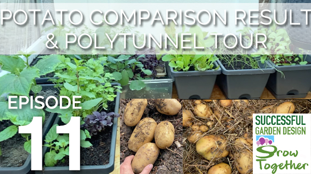 GT11 – Potato comparison – traditional vs Ruth Stout, polytunnel & allotment tour, Electroculture & KNF