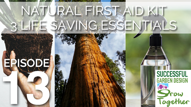 GT13 – Natural First Aid Kit – Top 3 Essentials