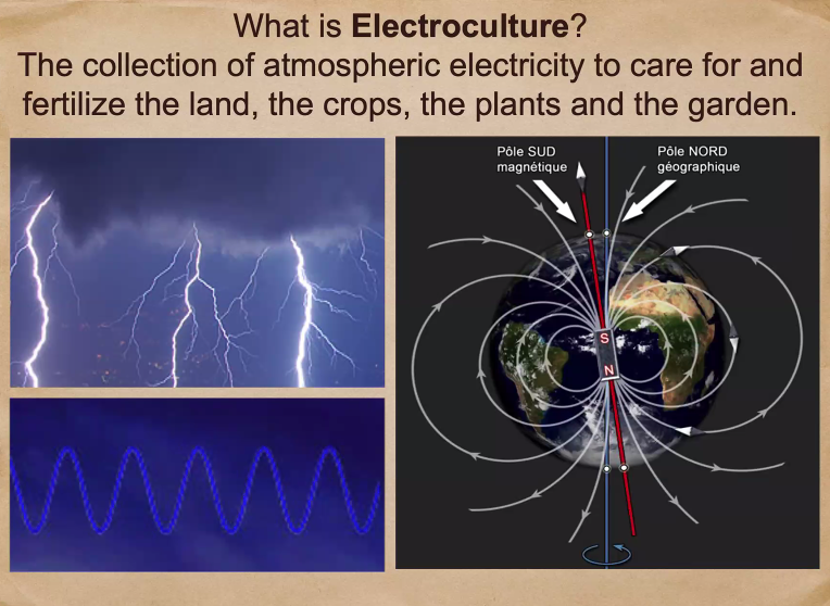 Electroculture Lectures with Yannick Van Doorne